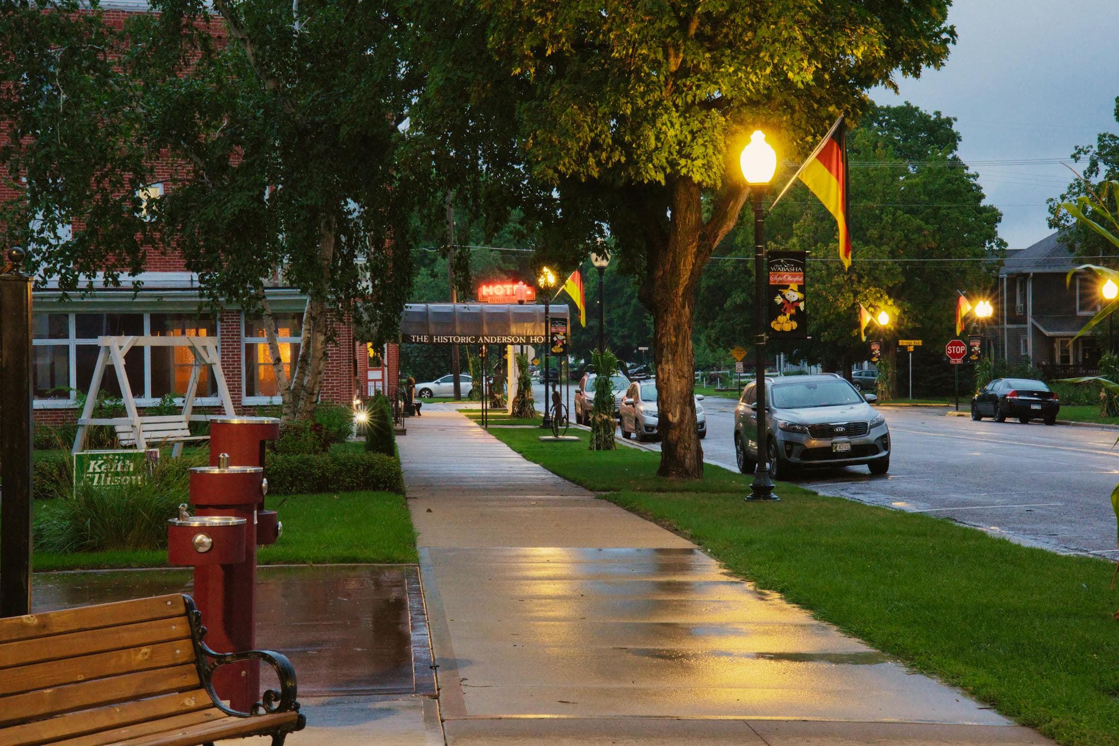 Tree-lined walkway with professional lighting